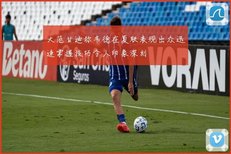 大范甘迪称韦德在夏联表现出众迅速掌握技巧令人印象深刻